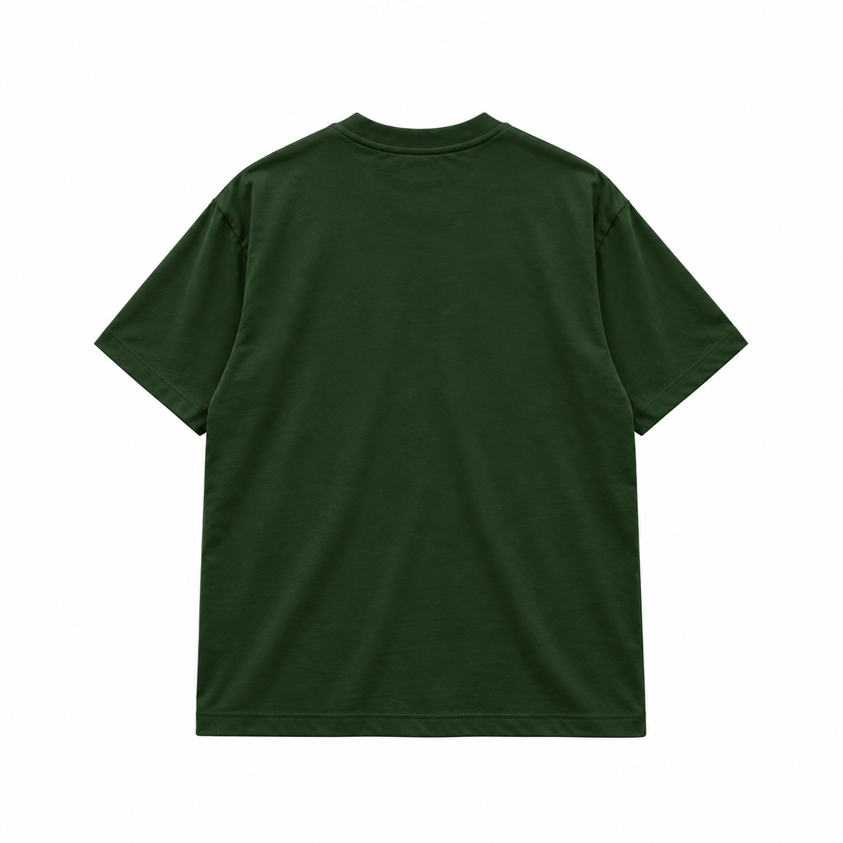Oversized Turtle Kame-Tee
